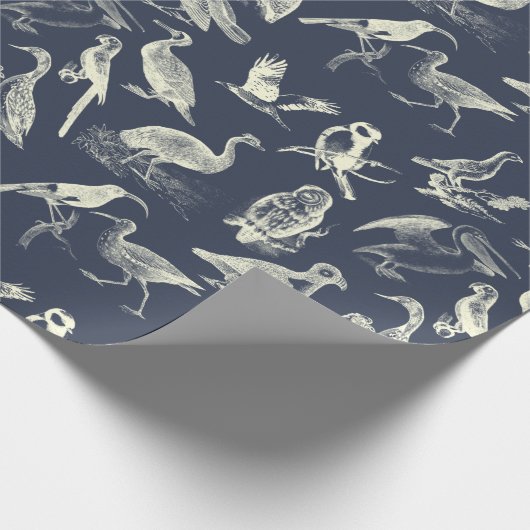 Antiek vogelillustraties verergeren de zeemacht va cadeaupapier (Hoek)