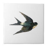  Antiek vogelreserveringsillustratie Tegeltje (Voorkant)