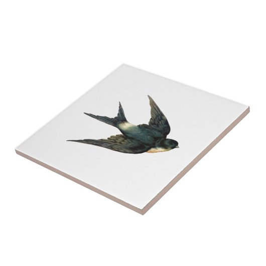  Antiek vogelreserveringsillustratie Tegeltje (Zijkant)