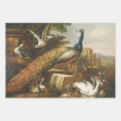 Antiek  Vogels Decoupage Heavy WT 3-Set Inpakpapier Vel (Voorkant 3)