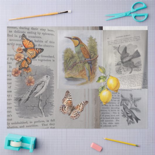Antiek Vogels en Vlinders Decoupage Tissuepapier (Craft)