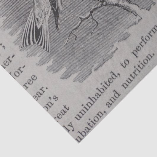 Antiek Vogels en Vlinders Decoupage Tissuepapier (Detail)