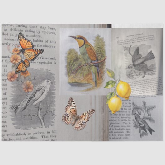 Antiek Vogels en Vlinders Decoupage Tissuepapier (Voorkant)