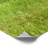 Antiek Vuurwerker Poster (Hoek)