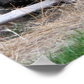 Antiek wagon poster (Hoek)