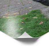 Antiek water Drink fontein Foto Afdruk (Hoek)