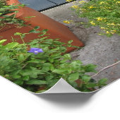 Antiek waterpomp Holland House Foto Poster Art (Hoek)