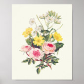 Antiek Waterverf Botanische afdruk Poster (Voorkant)