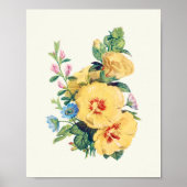 Antiek Waterverf Botanische afdruk Poster (Voorkant)