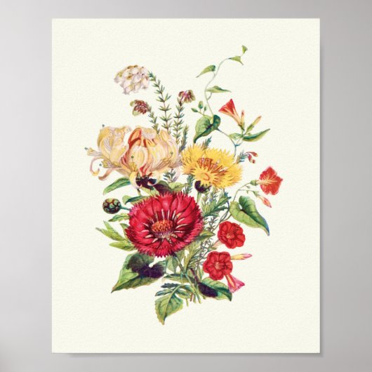 Antiek Waterverf Botanische afdruk Poster (Voorkant)