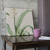 Antiek Waterverf Botanische afdruk Poster