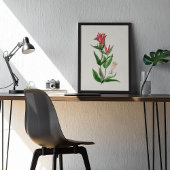 Antiek Waterverf Botanische afdruk Poster