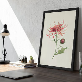 Antiek Waterverf Botanische afdruk Poster