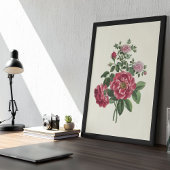 Antiek Waterverf Botanische afdruk Poster