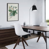 Antiek Waterverf Botanische afdruk Poster