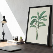 Antiek Waterverf Botanische afdruk Poster