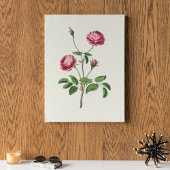 Antiek Waterverf Botanische afdruk Poster