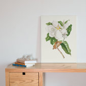 Antiek Waterverf Botanische afdruk Poster