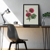 Antiek Waterverf Botanische afdruk Poster