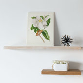 Antiek Waterverf Botanische afdruk Poster