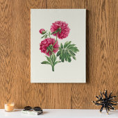 Antiek Waterverf Botanische afdruk Poster