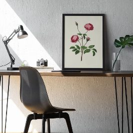 Antiek Waterverf Botanische afdruk Poster