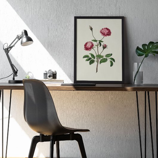 Antiek Waterverf Botanische afdruk Poster