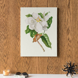 Antiek Waterverf Botanische afdruk Poster