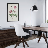 Antiek Waterverf Botanische afdruk Poster