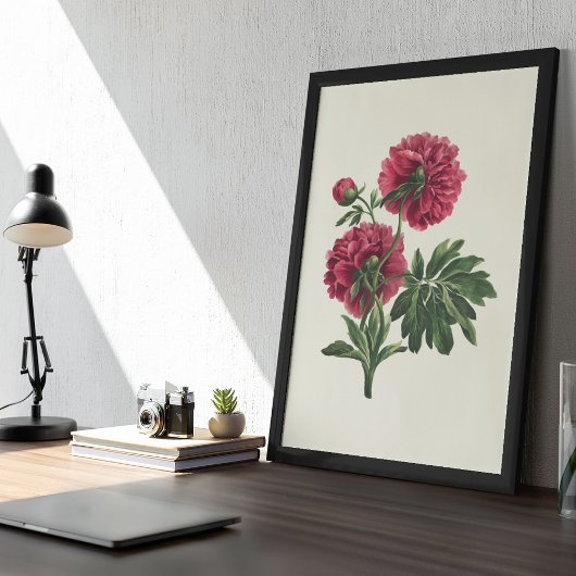 Antiek Waterverf Botanische afdruk Poster