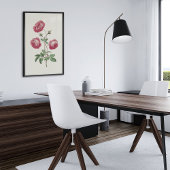 Antiek Waterverf Botanische afdruk Poster