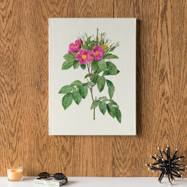 Antiek Waterverf Botanische afdruk Poster