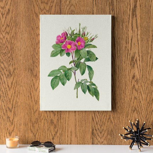 Antiek Waterverf Botanische afdruk Poster