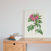 Antiek Waterverf Botanische afdruk Poster