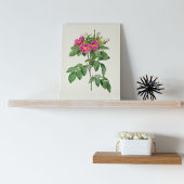 Antiek Waterverf Botanische afdruk Poster