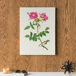 Antiek Waterverf Botanische afdruk Poster