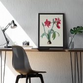 Antiek Waterverf Botanische afdruk Poster