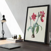 Antiek Waterverf Botanische afdruk Poster