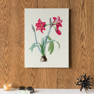 Antiek Waterverf Botanische afdruk Poster