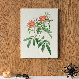 Antiek Waterverf Botanische afdruk Poster