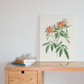 Antiek Waterverf Botanische afdruk Poster