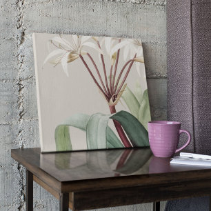 Antiek Waterverf Botanische afdruk Poster