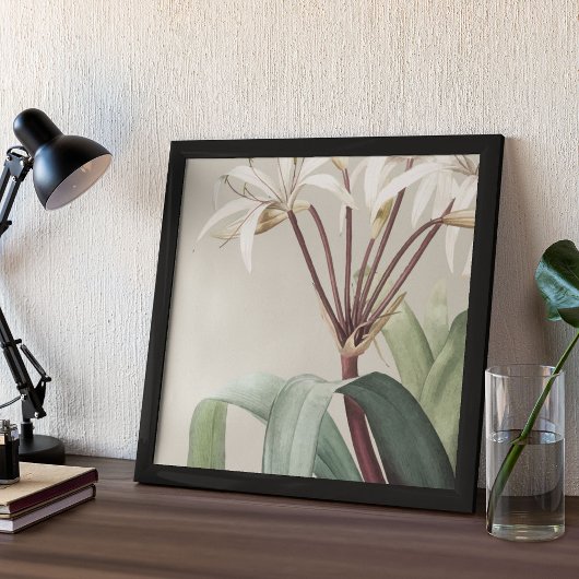 Antiek Waterverf Botanische afdruk Poster