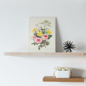 Antiek Waterverf Botanische afdruk Poster