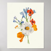 Antiek Waterverf Botanische afdruk Poster (Voorkant)