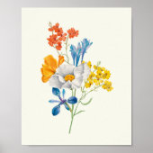 Antiek Waterverf Botanische afdruk Poster (Voorkant)