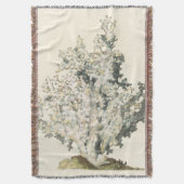 Antiek Waterverf Koraal Deken (Voorkant Verticaal)