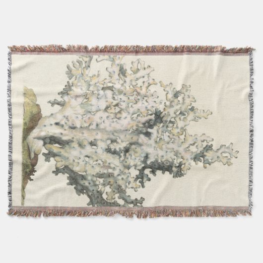 Antiek Waterverf Koraal Deken (Voorkant)