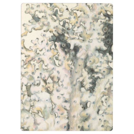 Antiek Waterverf Koraal Klembord (Achterkant)