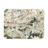 Antiek Waterverf Koraal Magneet (Horizontaal)